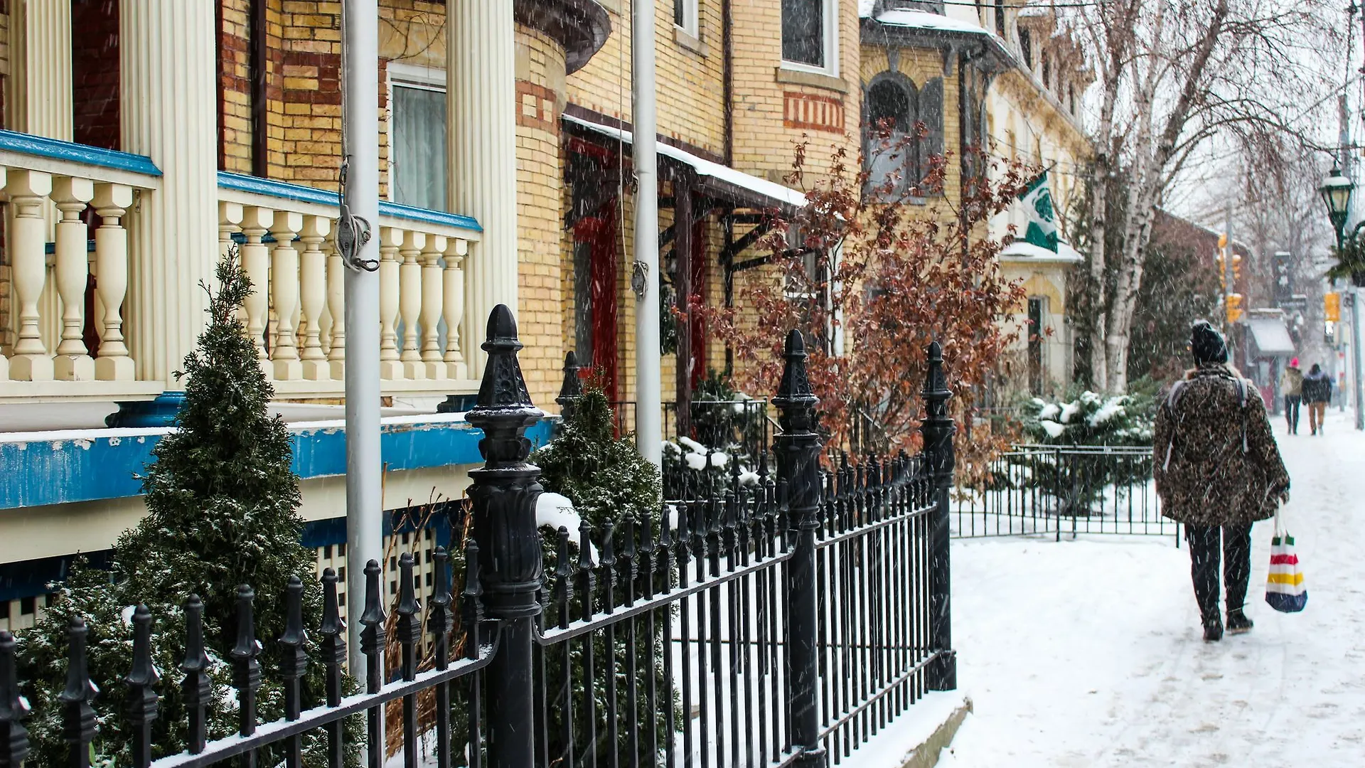 Auberge de jeunesse Hoestel Toronto
